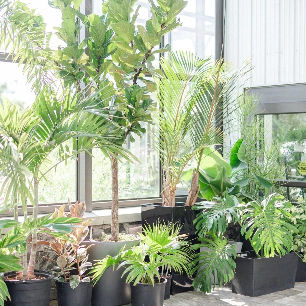 Dining area inside the conservatory — Aquatopia Casual Catering
